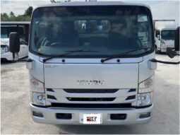 
										エルフ　ゼスト付 full									