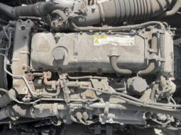 
										ギガ　冷凍　黄色 full									