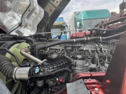 
										スーパーグレート　ヘッド full									