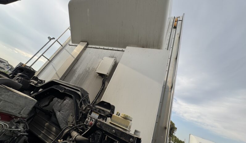 
								プロフィア　冷凍　茶・白 full									