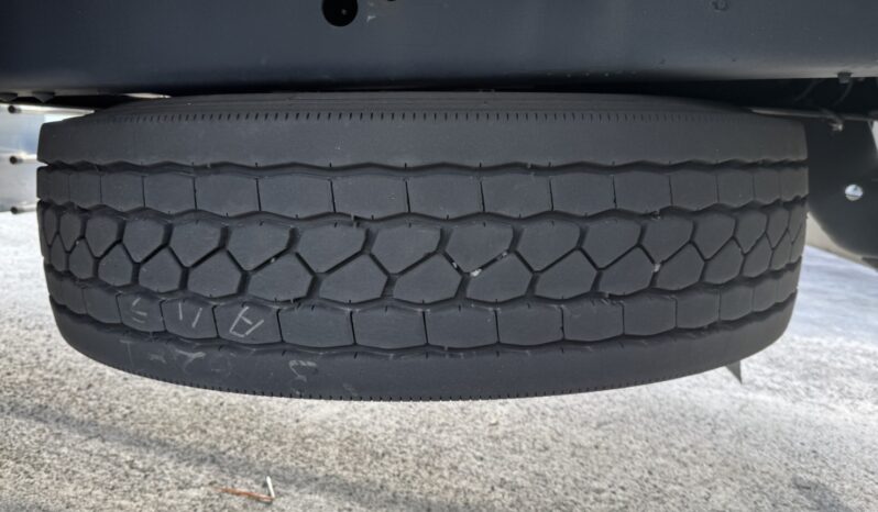 
								プロフィア　冷凍　茶・白 full									