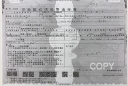 
										プロフィア　冷凍　茶・白 full									